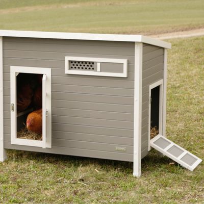 Szary kurnik z dwoma wejściami, rampą i otworami wentylacyjnymi. Wewnątrz widoczne są kilka kur.