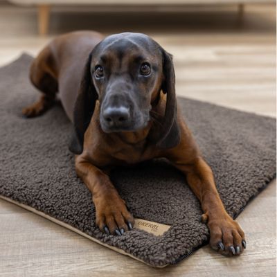 Kerbl Pet multifunkční matrace