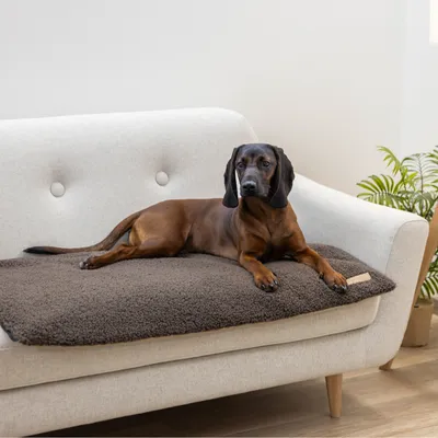 Kerbl Pet wielofunkcyjny materac - Dł. x szer. x wys.: 120 x 72 x 5 cm