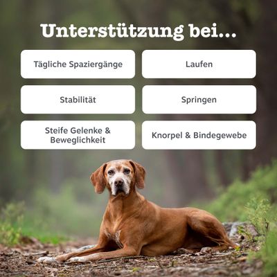 Zesty Paws Hip & Joint Chews Truthahn