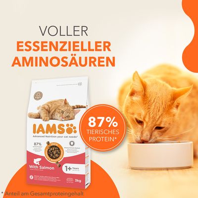 IAMS Katzenfutter mit Lachs, 3kg. Voller essenzieller Aminosäuren, 87% tierisches Protein* Anteil am Gesamtproteingehalt. Für Katzen ab 1 Jahr geeignet.