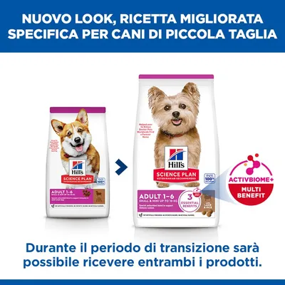 Hill's Science Plan Adult 1-6 Small & Mini con Agnello & Riso - 6 kg