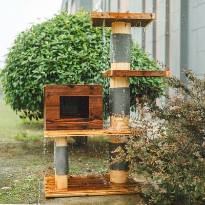 Canadian Cat Company когтеточка Woody