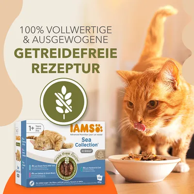 Texte en allemand : 100% vollwertige & ausgewogene getreidefreie Rezeptur. IAMS Sea Collection in Gravy, recette sans céréales pour chat, boîte visible et chat roux mangeant dans une gamelle.