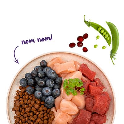 Teller mit Trockenfutter, Blaubeeren, rohem Hühnerfleisch, rohem Rindfleisch, Erbsenschote und Cranberries. Text: nom nom!
