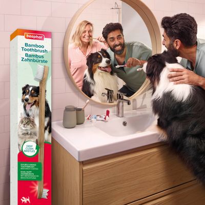 beaphar bambutandborste