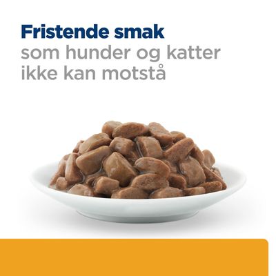 Hill's Prescription Diet c/d Multicare Urinary Care med kylling