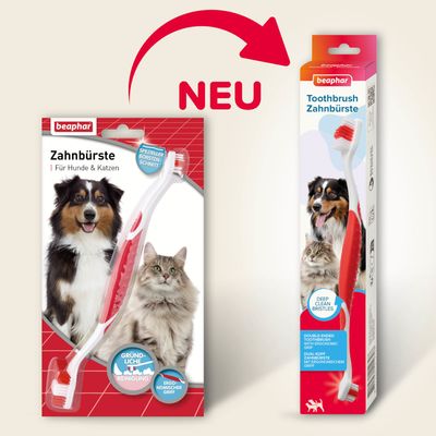 beaphar Zahnbürste für Hunde
