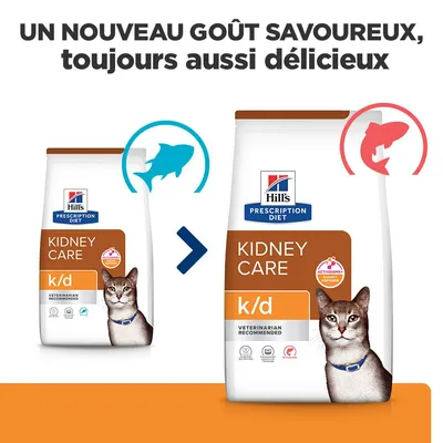 Hill's Prescription Diet k/d Kidney Care au saumon - 3, kg