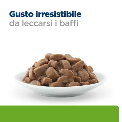 Hill's Prescription Diet j/d Metabolic + Mobility umido per gatti - Pollo - 48 x 85 g
