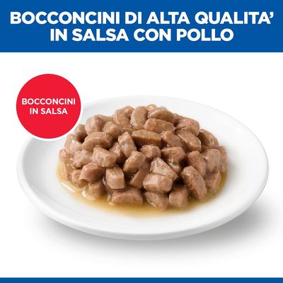 Bocconcini di alta qualità in sauce con pollo, serviti su un piatto bianco. Cerchio rosso con testo: Bocconcini in salsa.