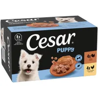 Cesar Puppy Trays 8 x 150g - Chicken & Turkey in Loaf (8 x 150g)