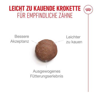 Royal Canin Ageing 11+