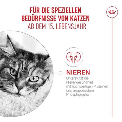 Royal Canin Ageing 15+ in Soße