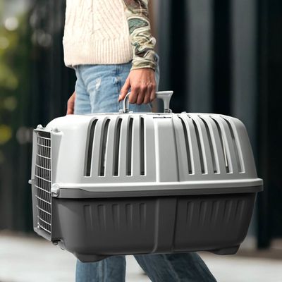 Lionto Trasportino in plastica con sportello in metallo