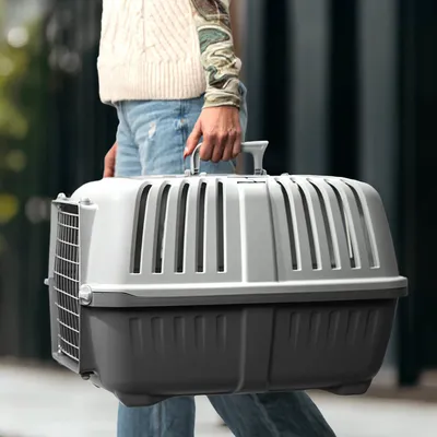 Lionto Transportbox aus Kunststoff mit Metalltür