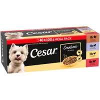 Cesar Pouches Creations in Sauce - 40 x 100g