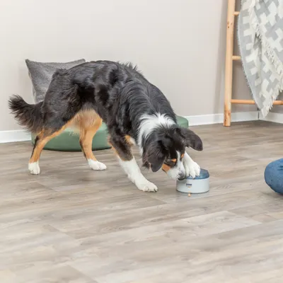 Trixie Dog Activity Buzzer strategispel - Ø 14 x 9,5 cm