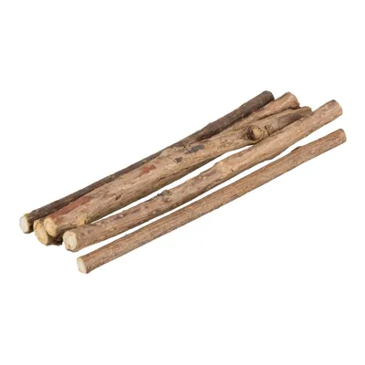 Trixie Bâtonnets à mâcher au matatabi pour chat - 5 pièces Trixie Bâtonnets à mâcher au matatabi pour chat - 5 pièces