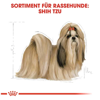 Sortiment za pasme psov: Shih Tzu. Ilustracija Shih Tzuja s podrobno risbo dlake in merilnimi črtami.
