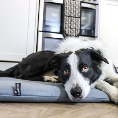 Vetbed® vattenavvisande husdjursmatta, svart