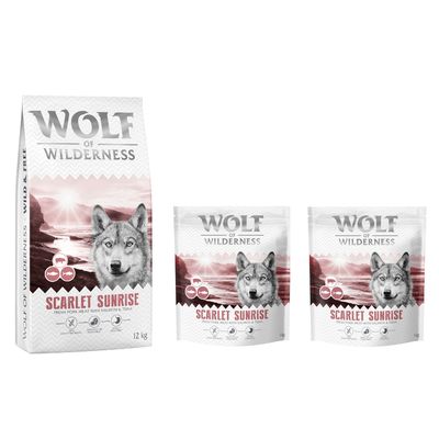 Wolf of Wilderness Logo. Hund springt über moosbedeckte Felsen in einem Wald.