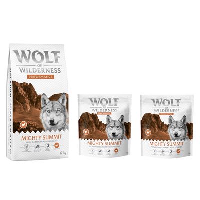 Wolf of Wilderness Logo. Hund springt über moosbedeckte Felsen in einem Wald.