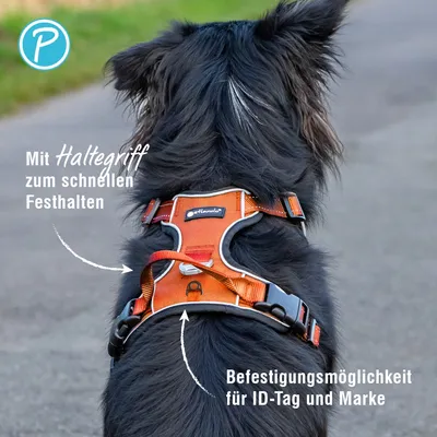 Petlando Outdoor harnais, orange – Taille L : 68 - 82 cm Tour de poitrine