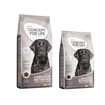 Concept for Life 13,5 kg ração para cães em promoção: 12 + 1,5 kg grátis! - Labrador Retriever Adult (12 + 1,5 kg) Concept for Life 13,5 kg ração para cães em promoção: 12 + 1,5 kg grátis! - Labrador Retriever Adult (12 + 1,5 kg)