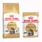 Blandet pakke: 2 kg Royal Canin kattetørfoder + 12 x 85 g Royal Canin i sauce Maine Coon