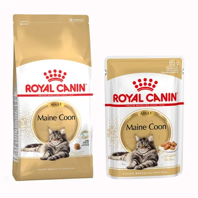 Zestaw Royal Canin Breed, 4 kg + 12 x 85 g karmy mokrej Royal Canin - Maine Coon Adult + Breed Maine Coon, 12 x 85 g Zestaw Royal Canin Breed, 4 kg + 12 x 85 g karmy mokrej Royal Canin - Maine Coon Adult + Breed Maine Coon, 12 x 85 g