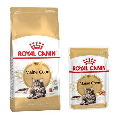 Sachet de croquettes Royal Canin Regular Sensible 33 pour chat, plusieurs sachets Royal Canin Care Digest 85 g, pastille verte avec texte Bi-nutrition.