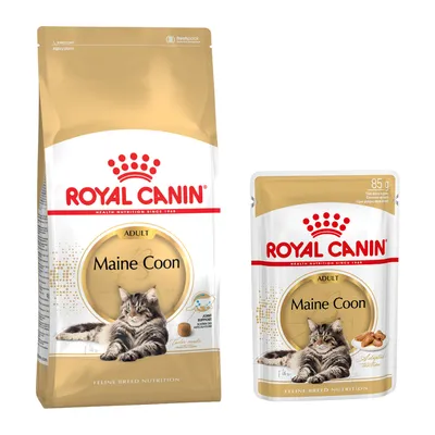 Pack bi-nutrition : croquettes + sachets Royal Canin - Maine Coon Adult (4 kg) + sachets Maine Coon Pack bi-nutrition : croquettes + sachets Royal Canin - Maine Coon Adult (4 kg) + sachets Maine Coon