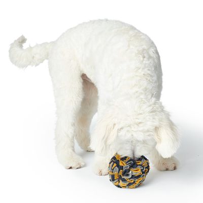 HUNTER snuffelbal Eiby