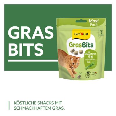 GimCat GrasBits
