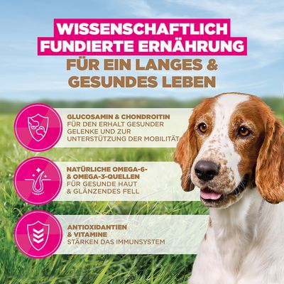 Eukanuba Grain Free Senior Small & Medium mit Seefisch - 3 kg