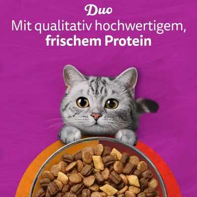 Whiskas 1+ Duo Classic Combos Lamm & Truthahn - Sparpaket: 3 x 1,9 kg