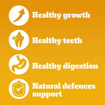 PEDIGREE® COMPLETE™ Puppy Beef & Vegetables