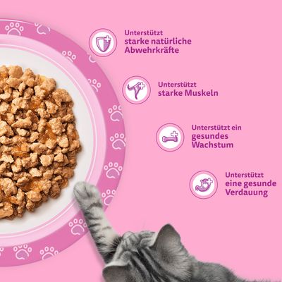 Jumbopack Whiskas Junior Frischebeutel 84 x 85 g - Geflügelauswahl in Gelee