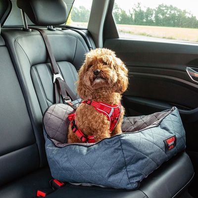 KONG Ultimate Siège auto pour chien avec laisse de sécurité