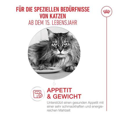 Royal Canin Ageing 15+ Мусс - 12 x 85 г