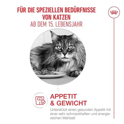 Royal Canin Ageing 15+ Mousse Royal Canin Ageing 15+ Mousse