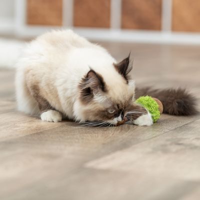 Trixie Gioco per gatti Matatabi Lollipop XXL
