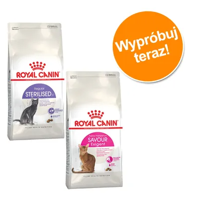Dwie torby karmy Royal Canin: Sterilised 37 i Savour Exigent dla kotów. Na pomarańczowym kole tekst: Wypróbuj teraz!
