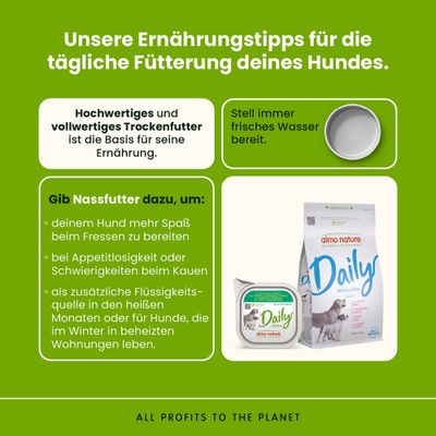 Ernährungstipps für Hunde: Hochwertiges Trockenfutter als Basis, immer frisches Wasser bereitstellen, Nassfutter für mehr Spaß, Appetitlosigkeit und zusätzliche Flüssigkeitsquelle.