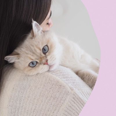 GimCat Nutri Malt Bites