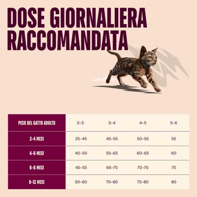 Carnilove Active Kitten con Salmone & Tacchino