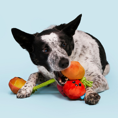 Bark Hundespielzeug Tomatenstaude - ca. L 25 x B 22 x H 5,5 cm
