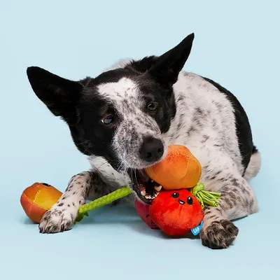 Bark Hundespielzeug Tomatenstaude - ca. L 25 x B 22 x H 5,5 cm