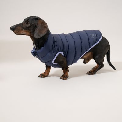 Nomad Tales Bloom Hundemantel Puffer, lila/marineblau